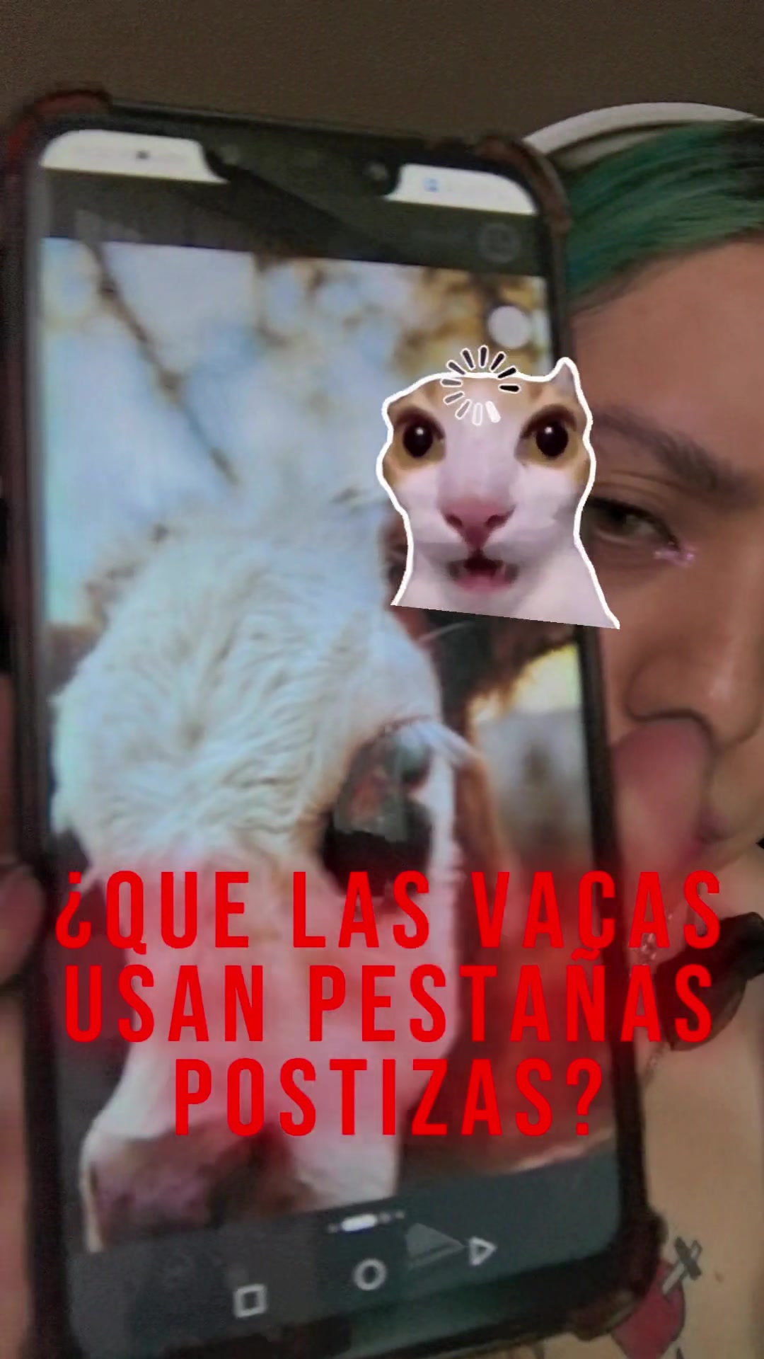 @Katt Lumière