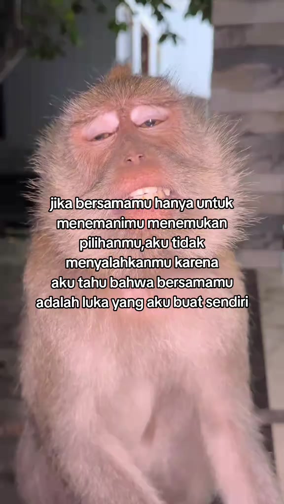 @𝕽𝖆𝖍𝖜𝖆𝖓𝖆 👹