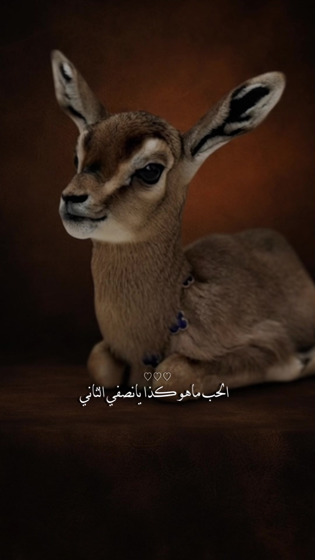 @﮼غزال🦌