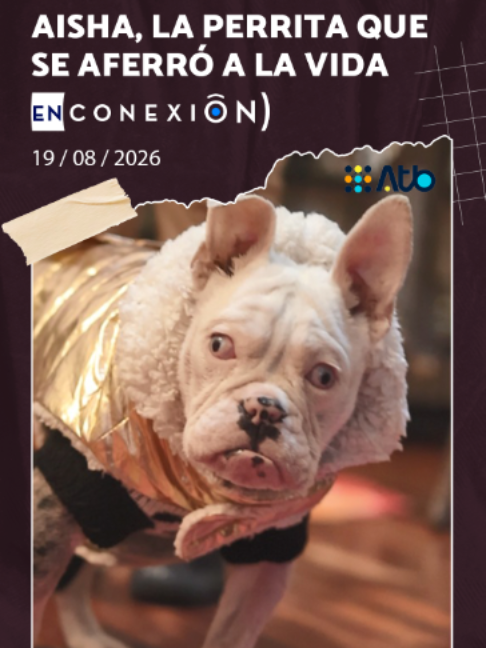@Conexi&oacute;nbol