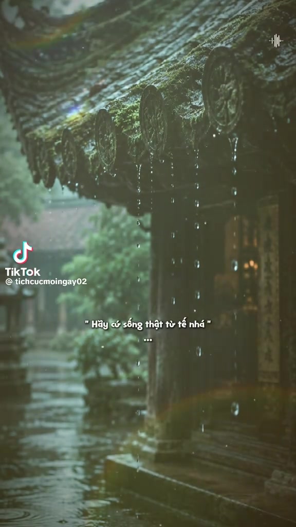 @Thoan Luyện