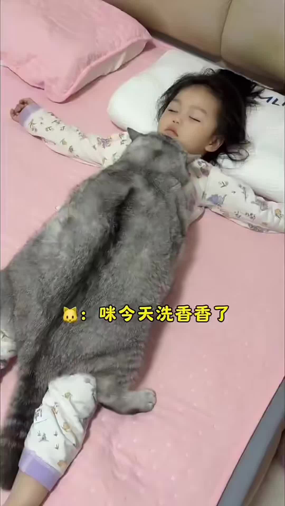 @中国蓝国际