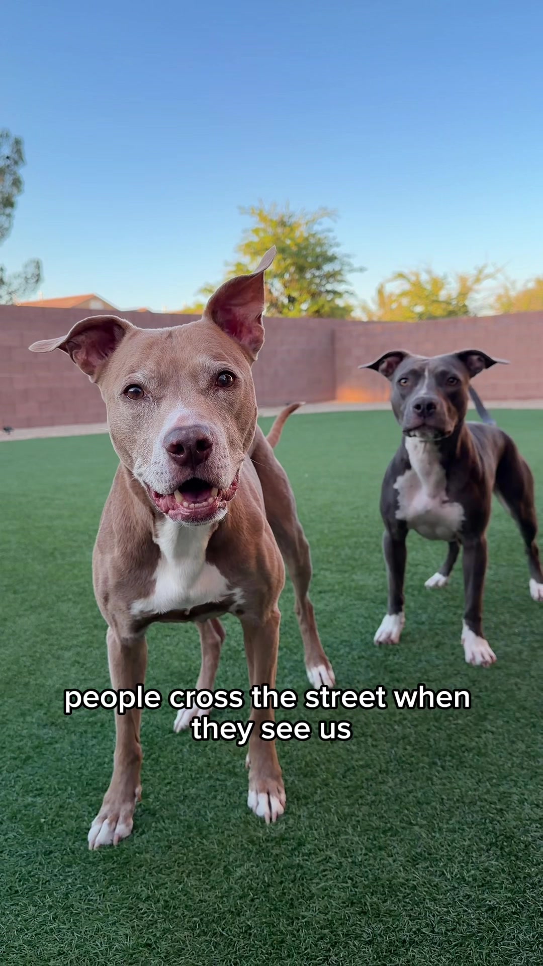 @@knight_thepit
