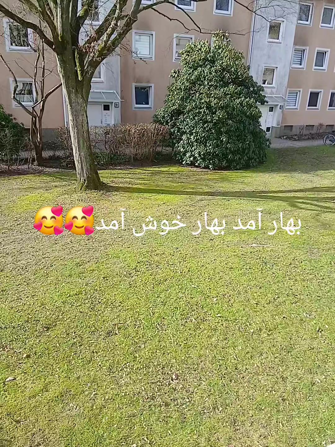 @Mohammad panahi 🇩🇪