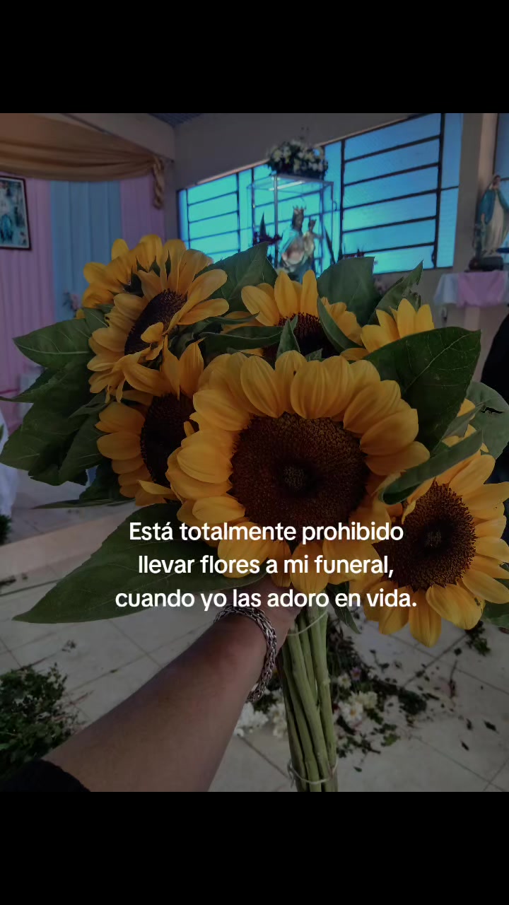 @wilmi👑&hearts;️