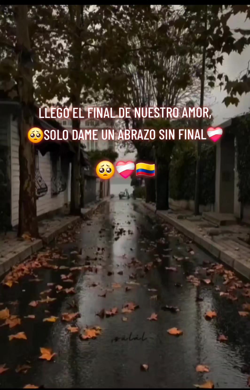 @🇲🇽daniel🇨🇴