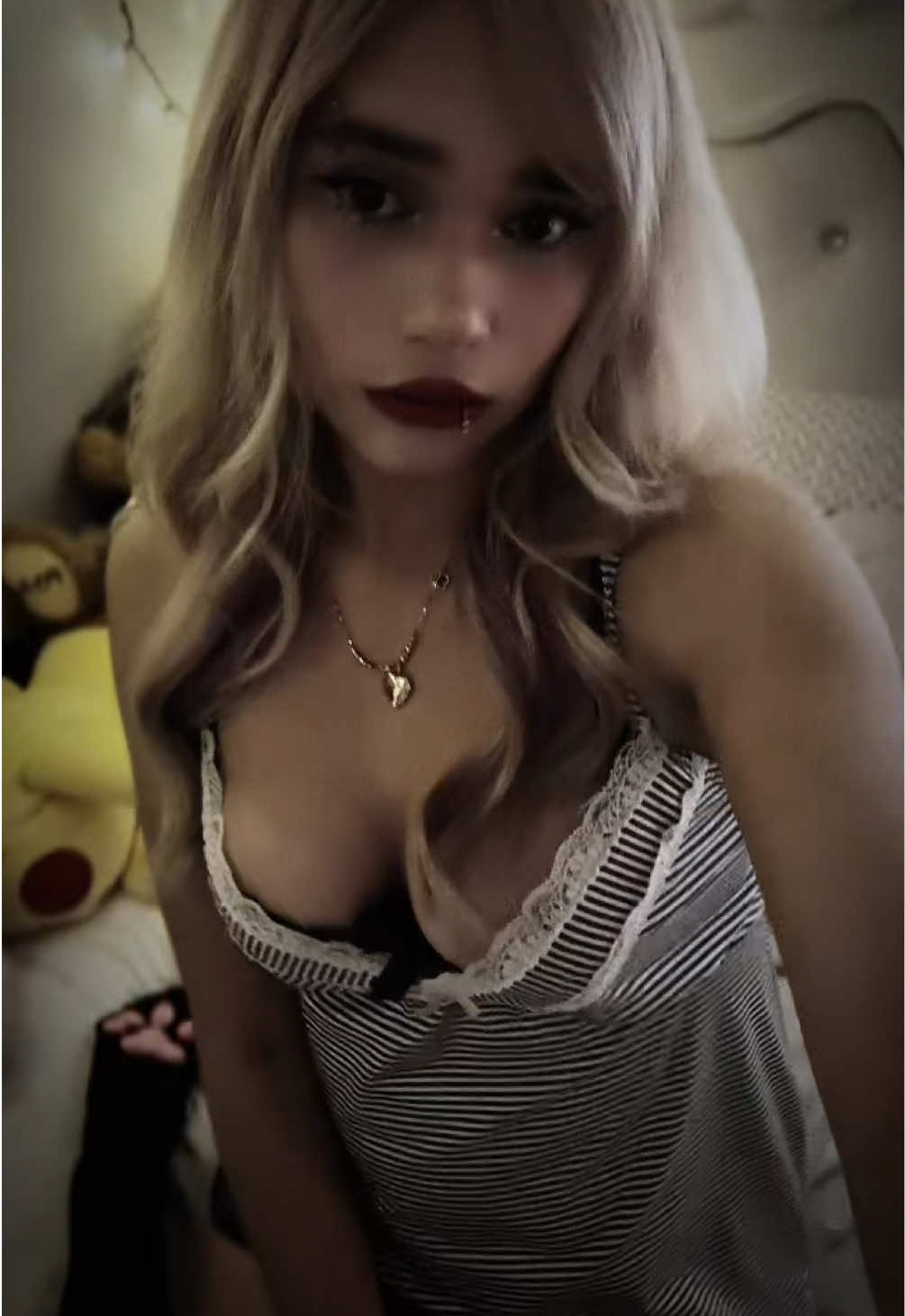 @dinopawwz