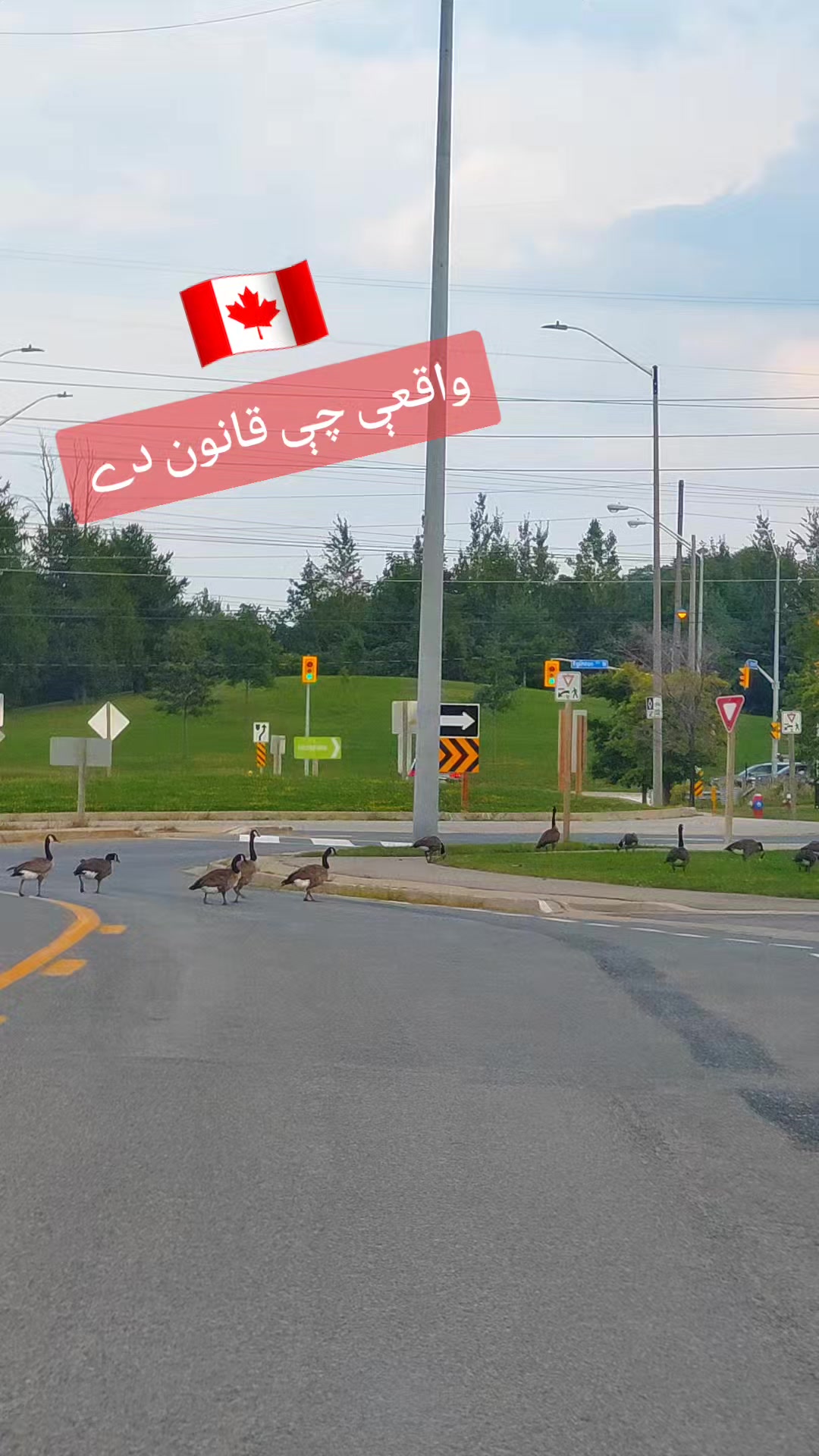 @Sher khan🇨🇦🥀