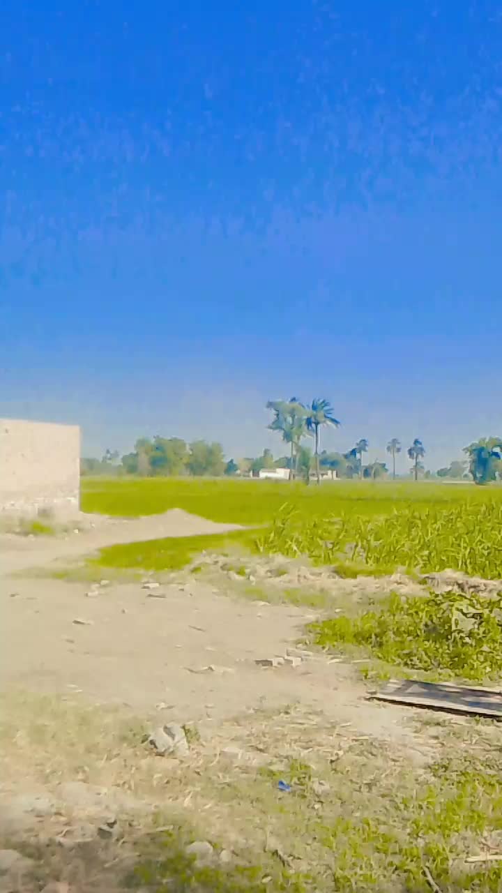 @tanveerkhang000