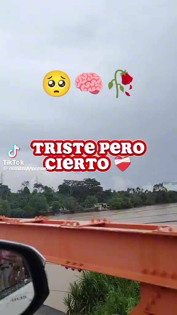 @Patricia Maldonado