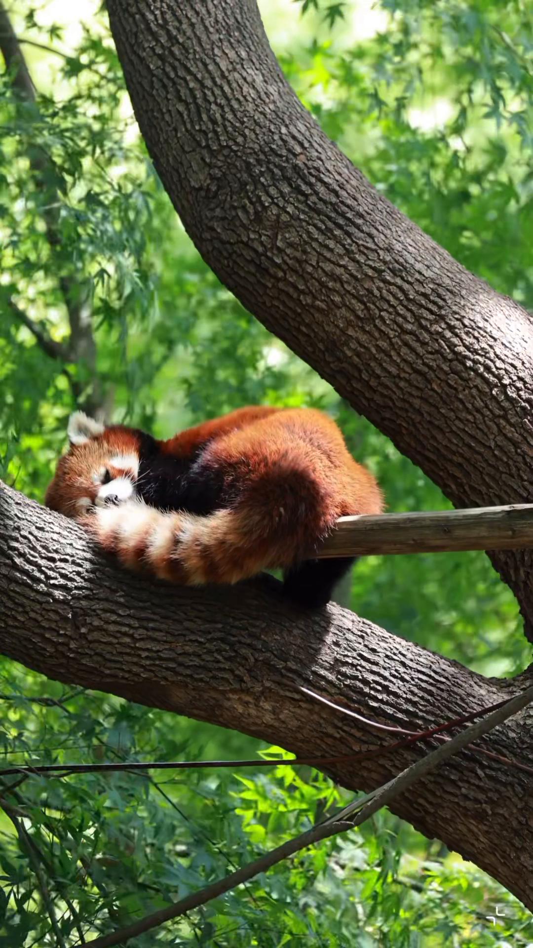 @My Daily Dose of Aww