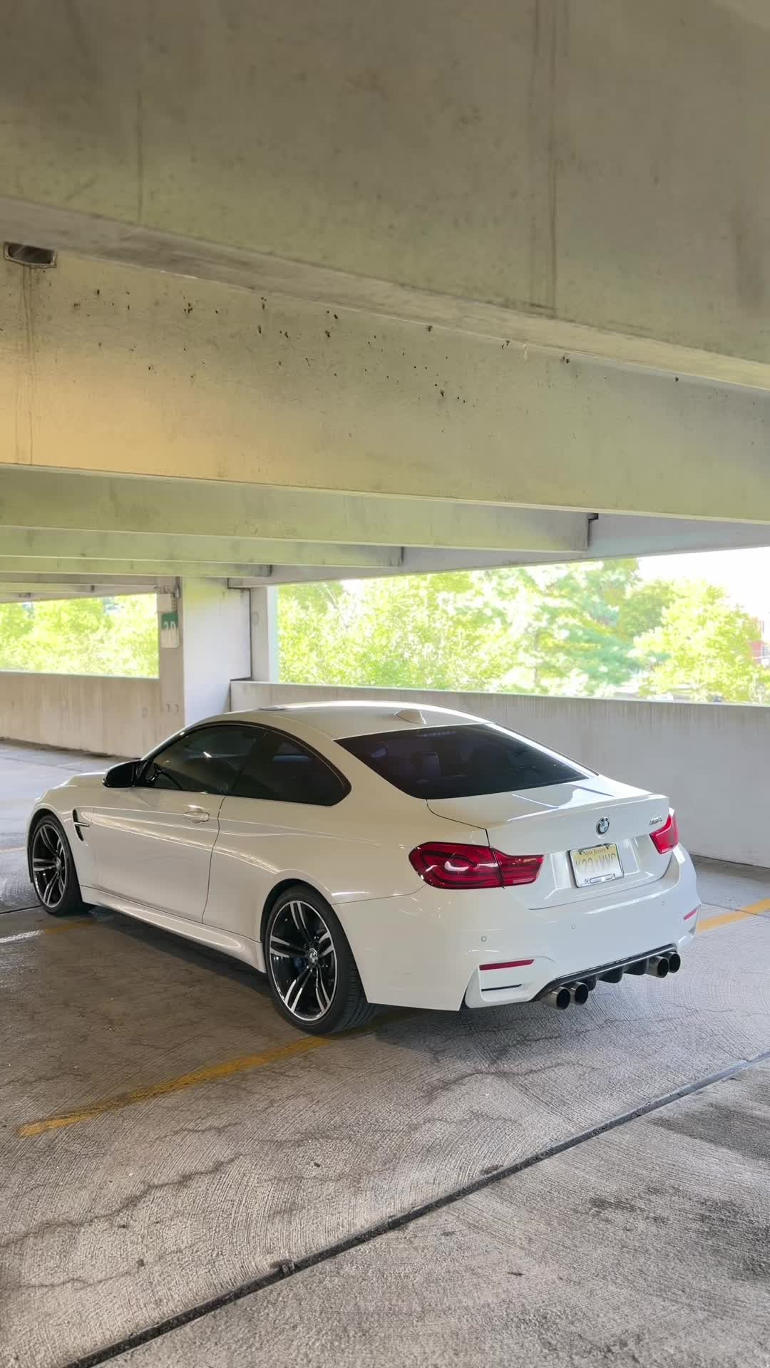 @alpinef8x