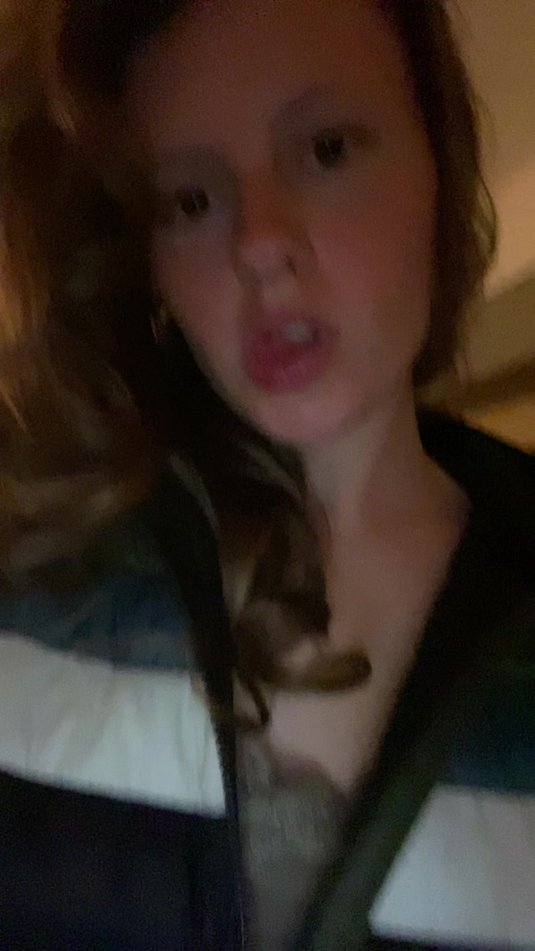 @Neila 🐞