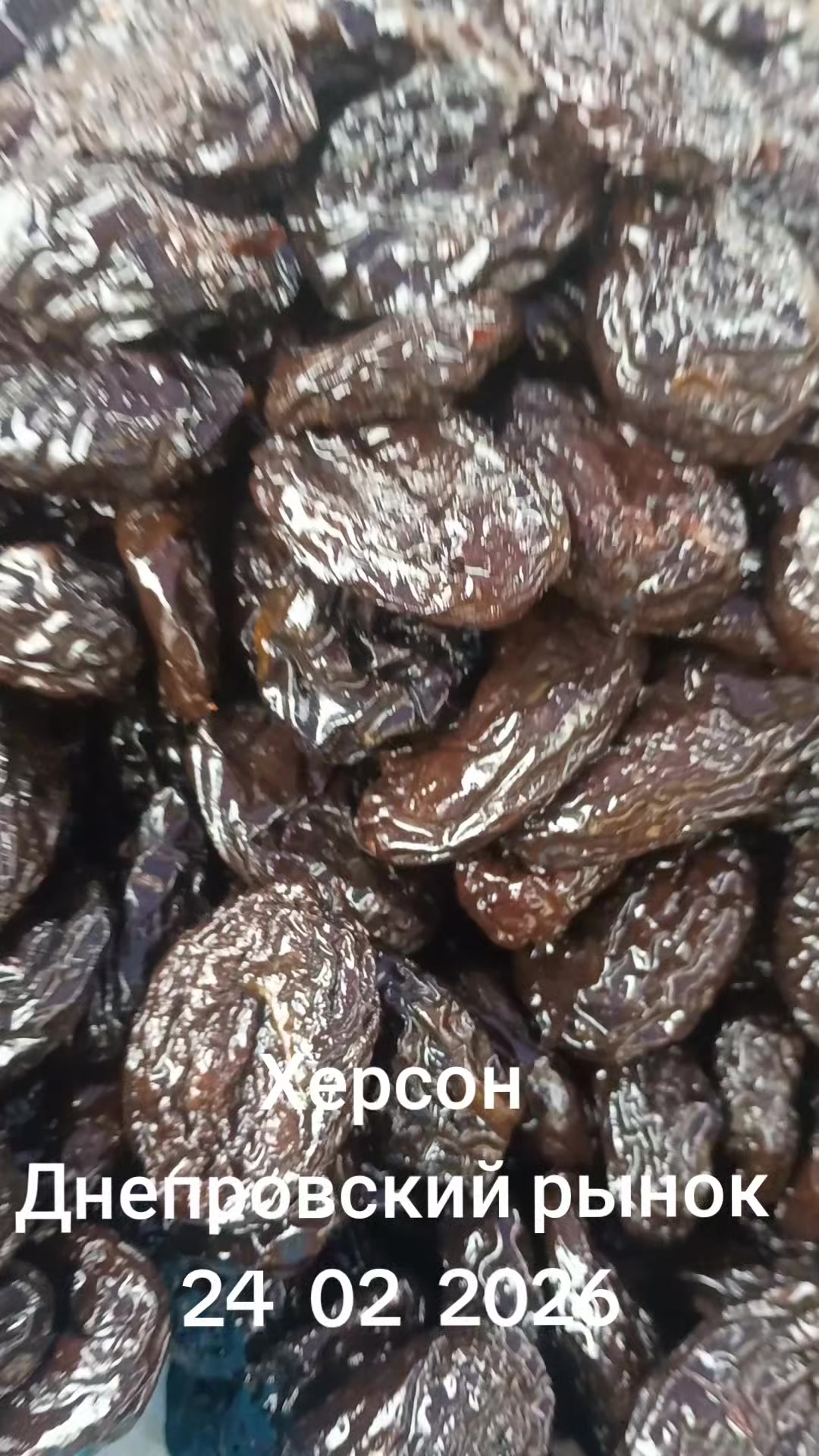 @IOSIF99999