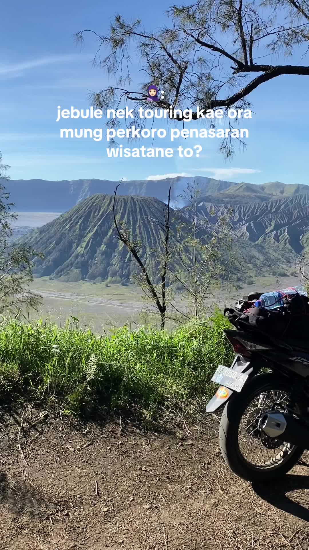 @Mufiiid