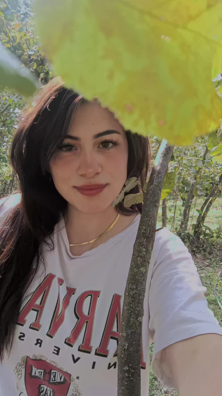 @Mihrap Kabaktepe