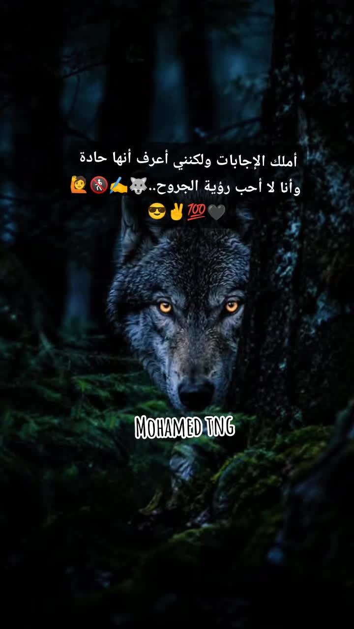 @🐊🦁𝑴𝒐𝒉𝒂𝒎𝒆𝒅🦁🐊
