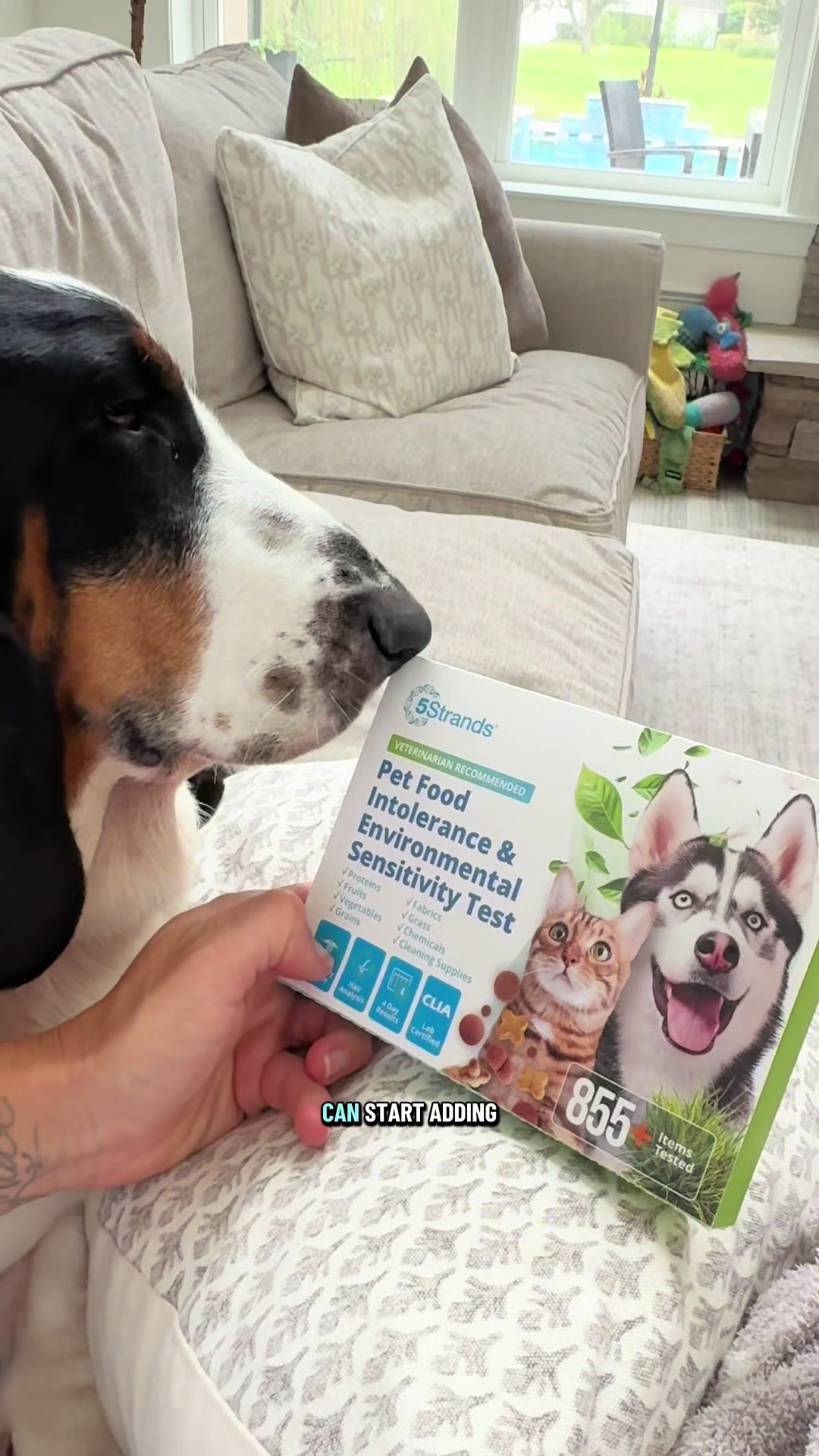 @🐾BillieBasset🐾