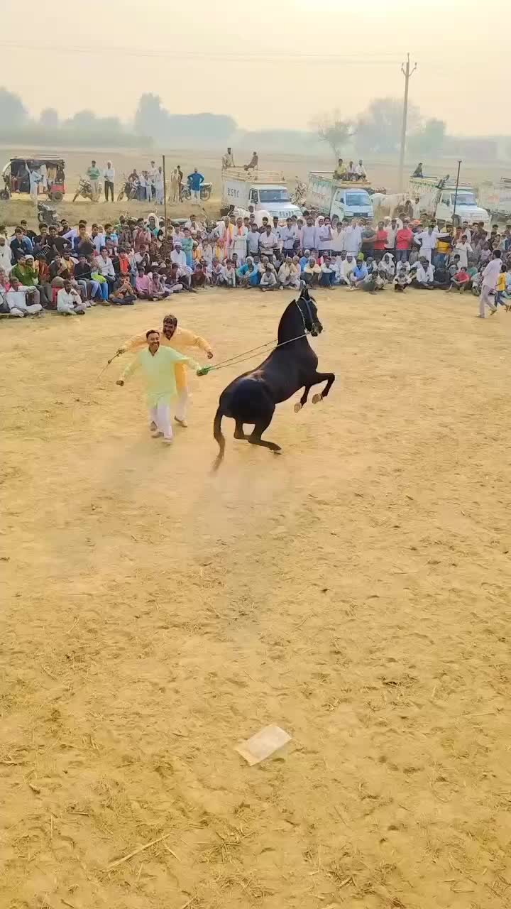 @@𝙂𝙍 𝙃𝙤𝙧𝙨𝙚 𝙁𝙖𝙧𝙢 🐴