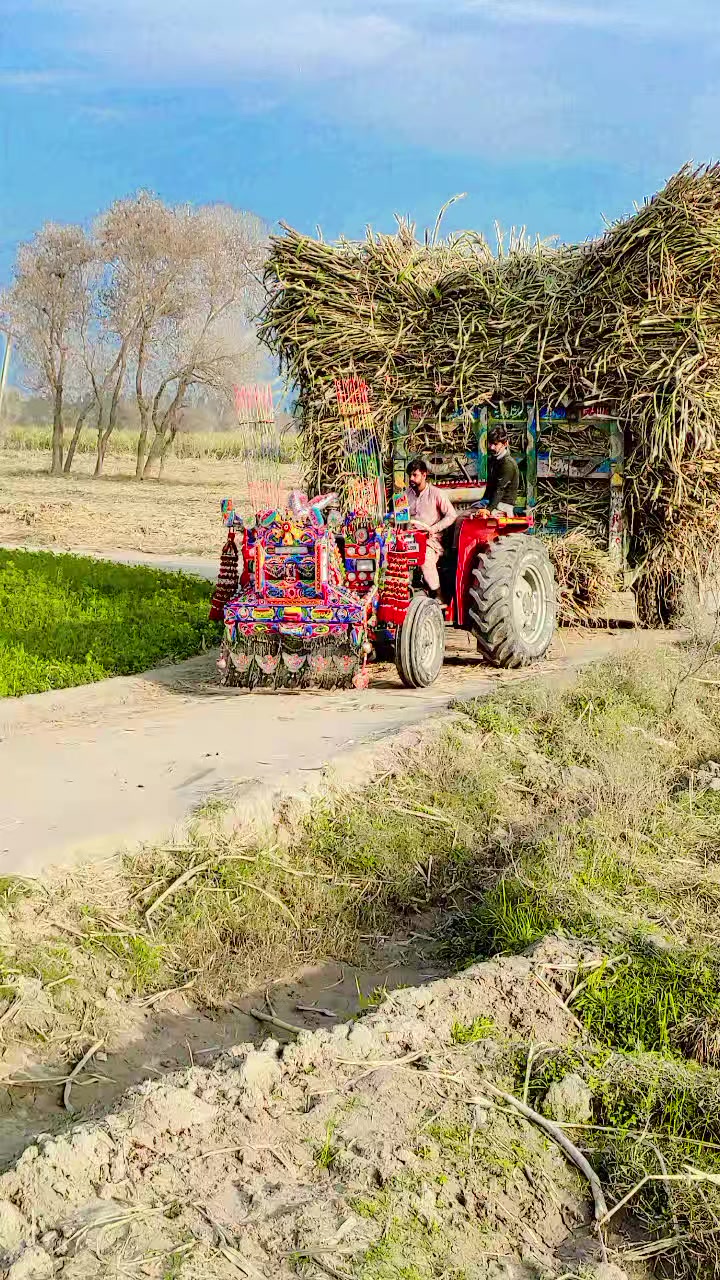 @احسانی پاکھرےآلا🫀