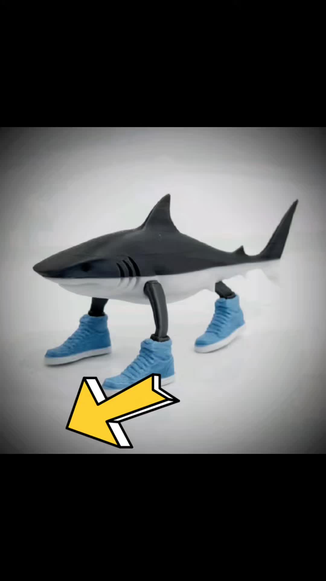 @monSG