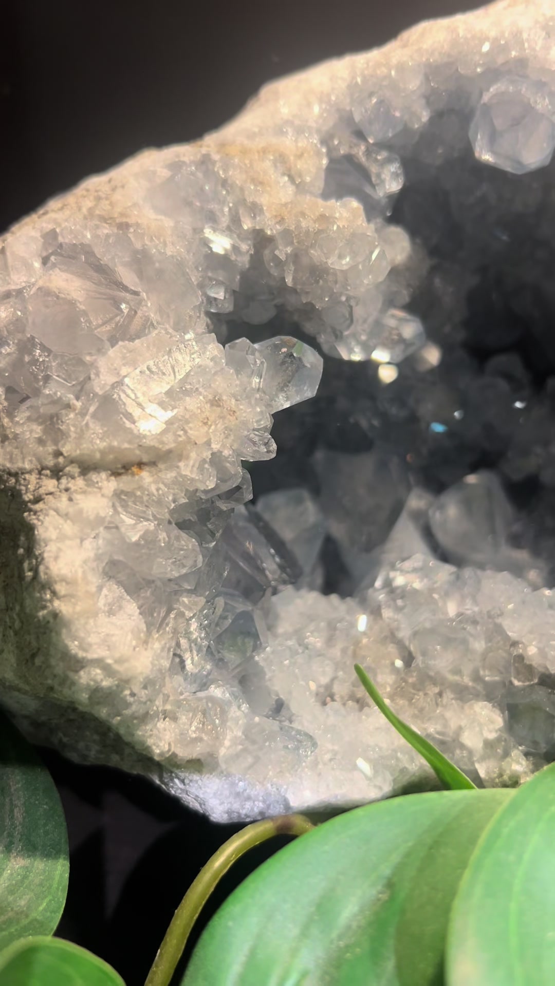 @Muse Crystals