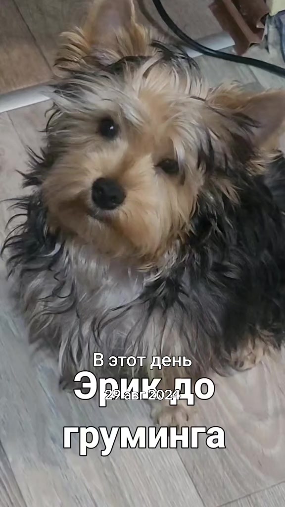 @Світлана