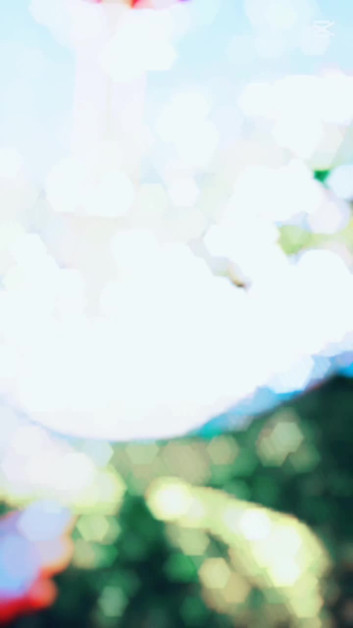 @➳ᴹᴿ✿࿐ Rajpoot✿࿐