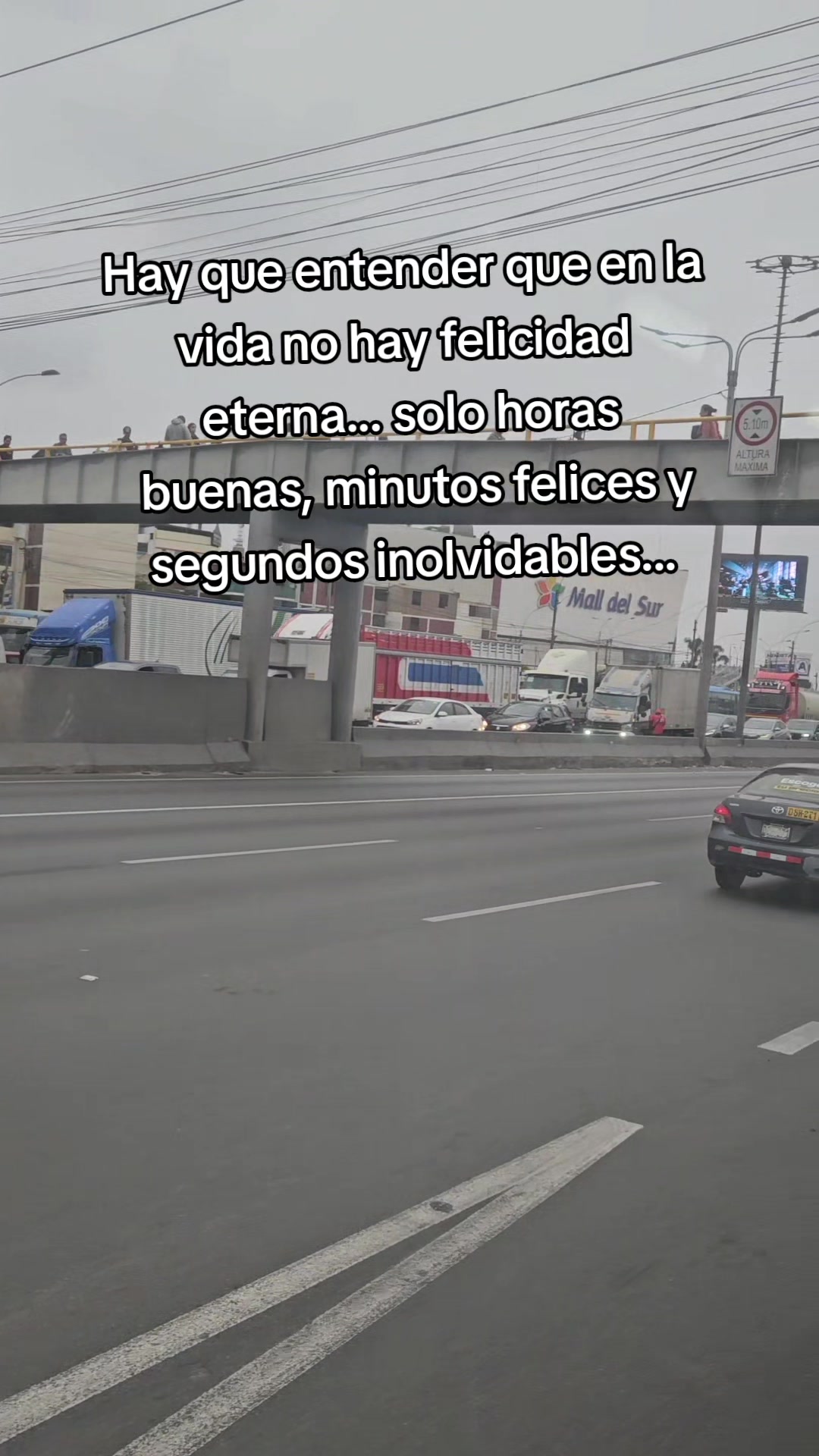 @🐬♦️𝗤𝘂𝗲𝘀𝗼_12_04_96♦️🐬
