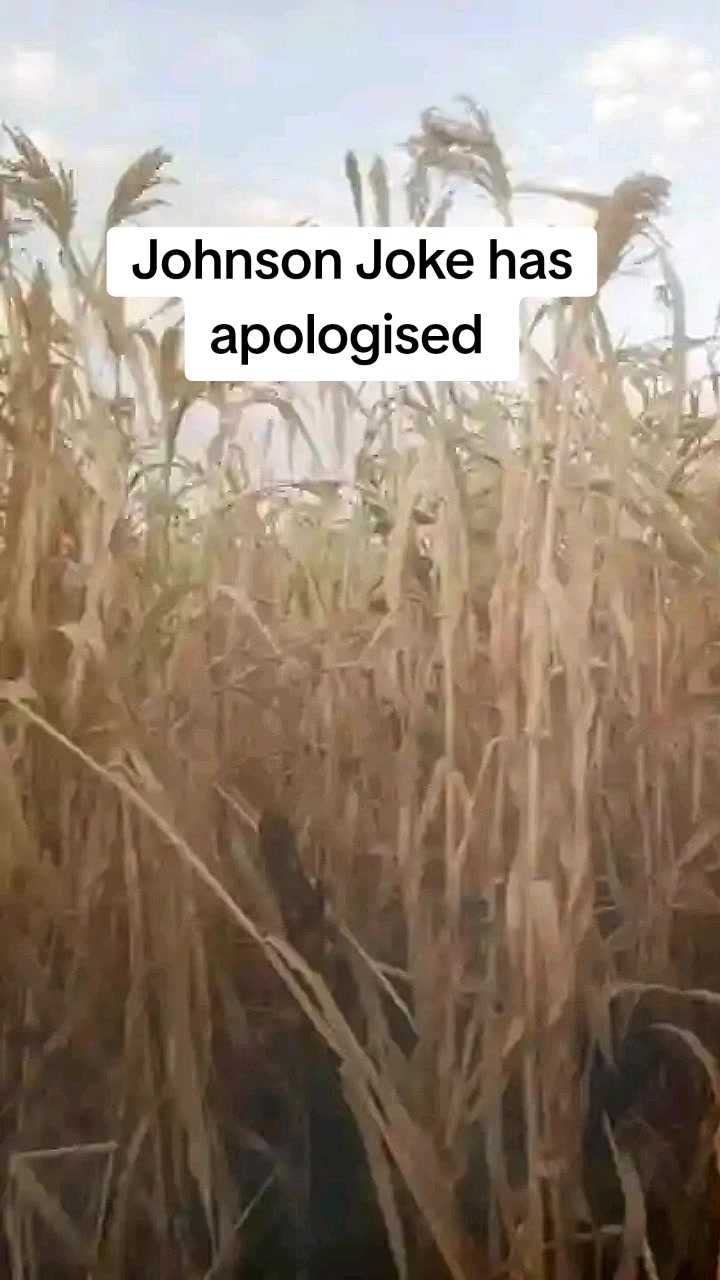 @Ariath Golden