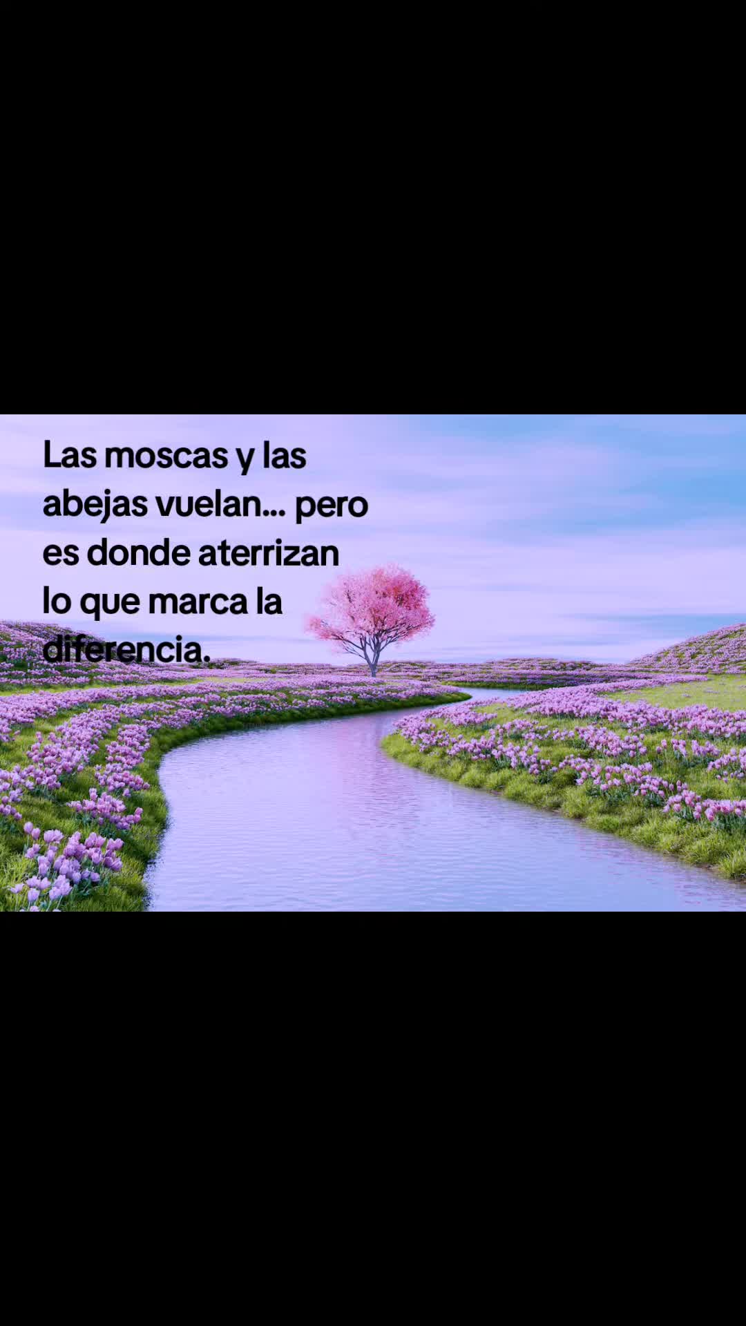 @Bernhard_O_Romero