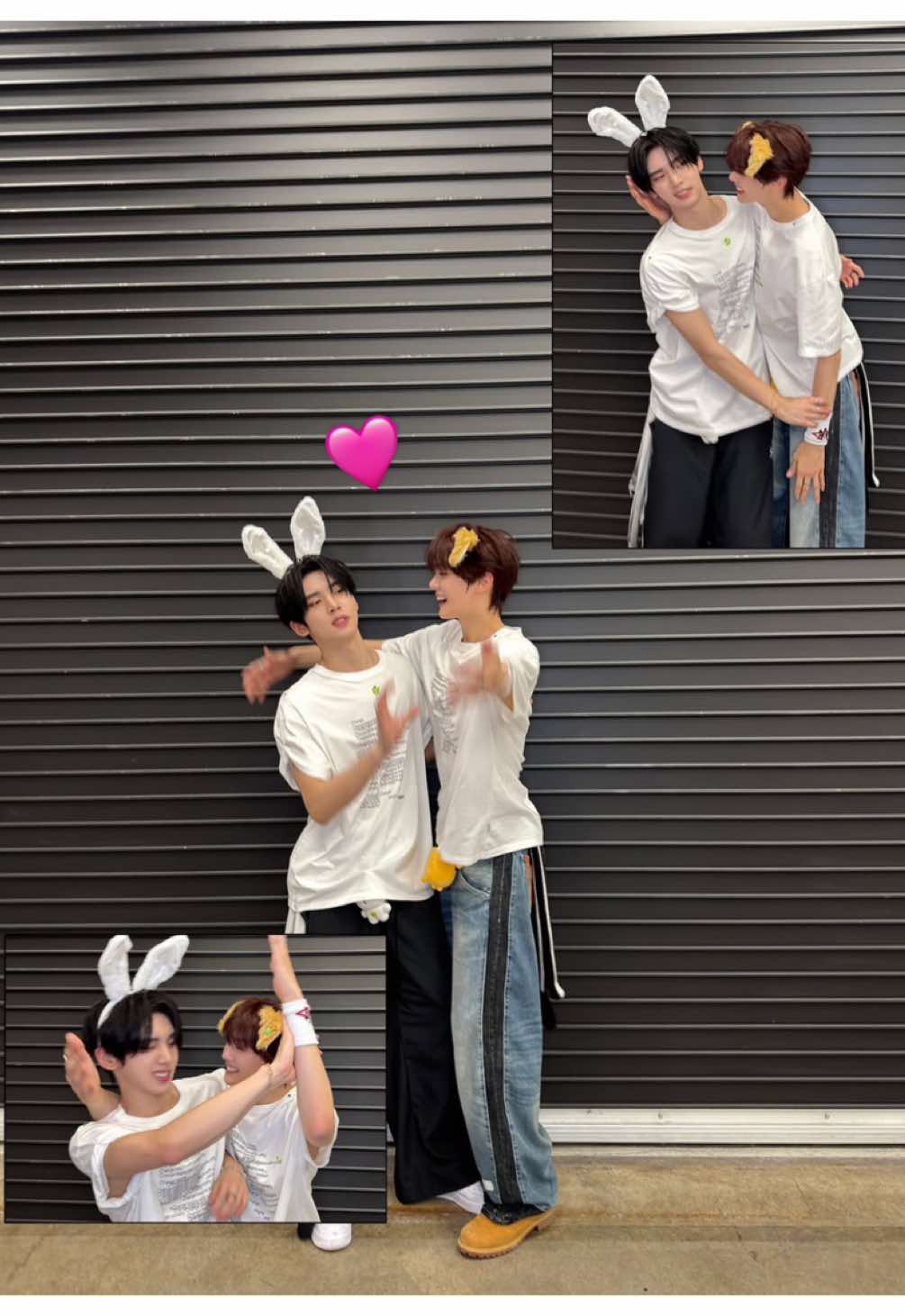 @cakesk_gyj 🐶🩷🐰
