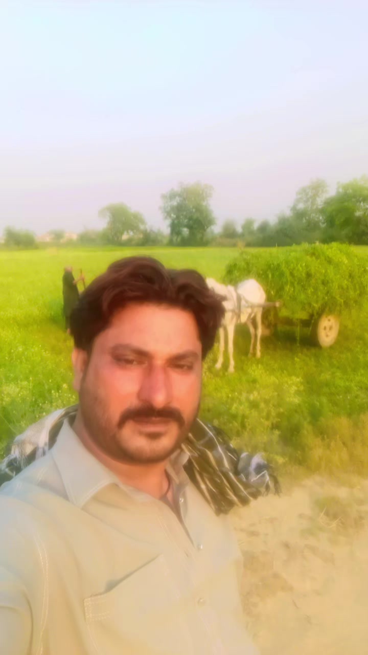 @kaka qasai 745