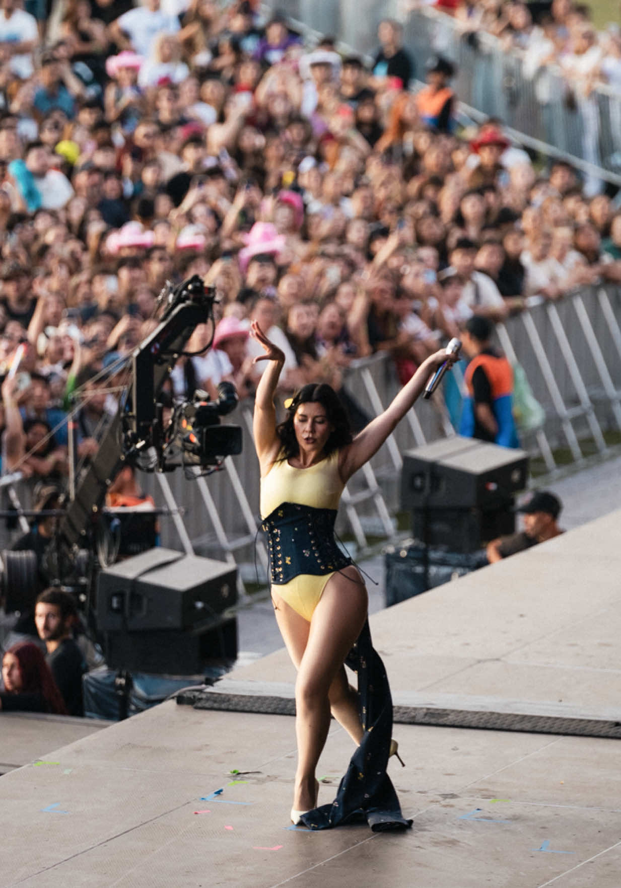 @lollapaloozaar