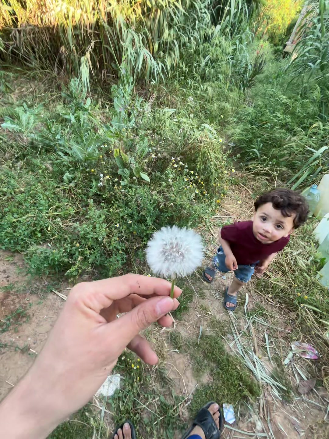 @عبد السلام ❗️