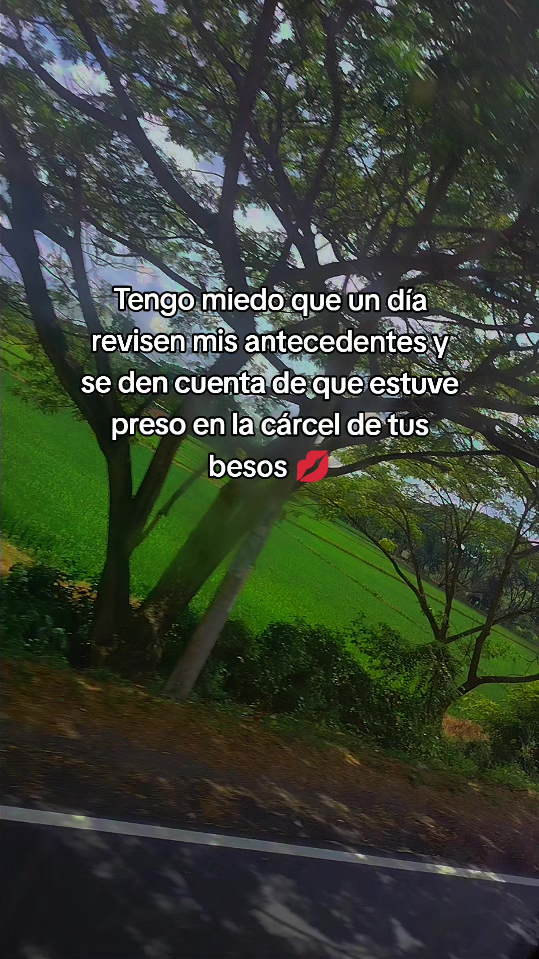 @🎀Anavel🎀