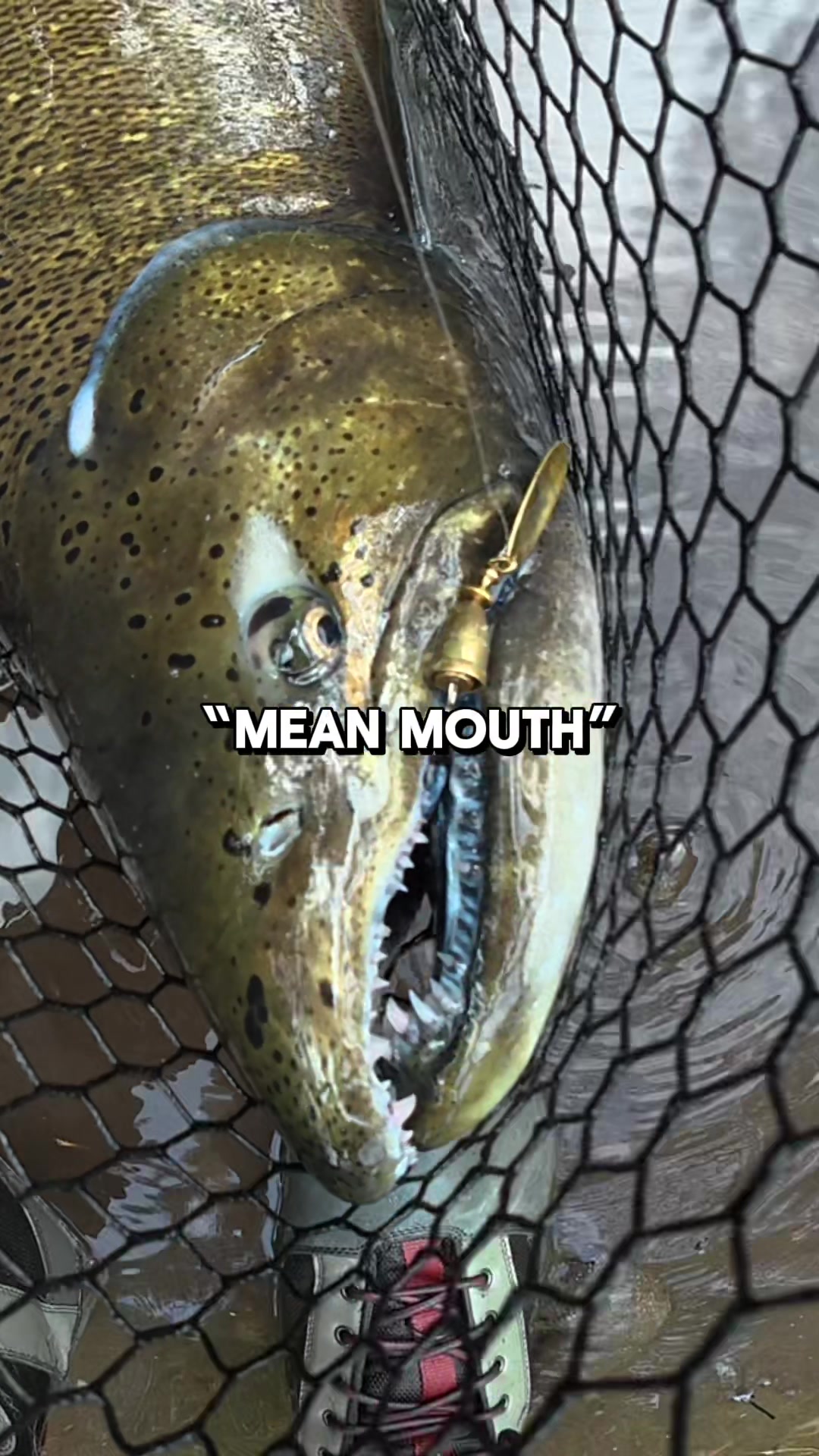 @JlangFishing