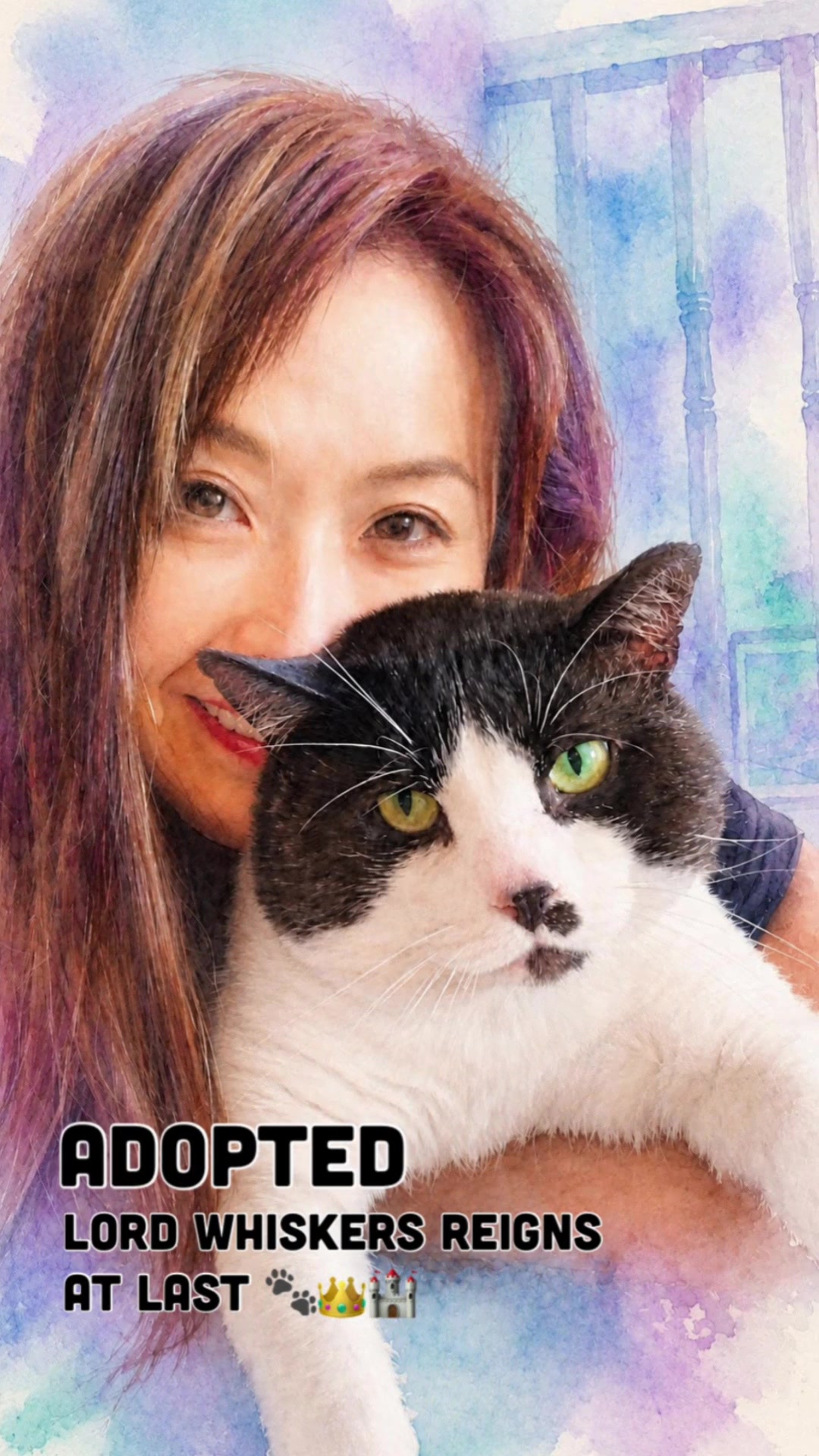 @North Toronto Cat Rescue