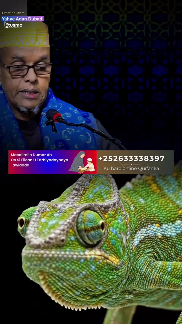@Tusmo Media