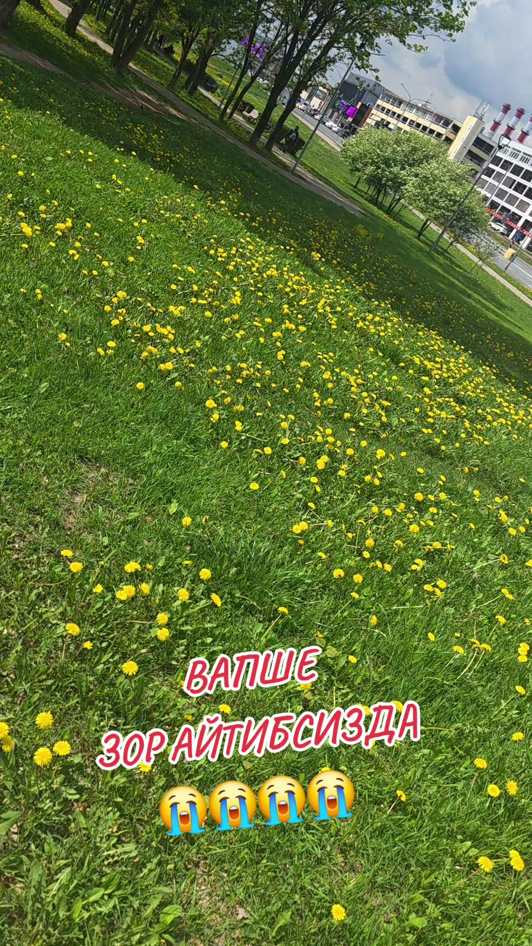 @shoira2281
