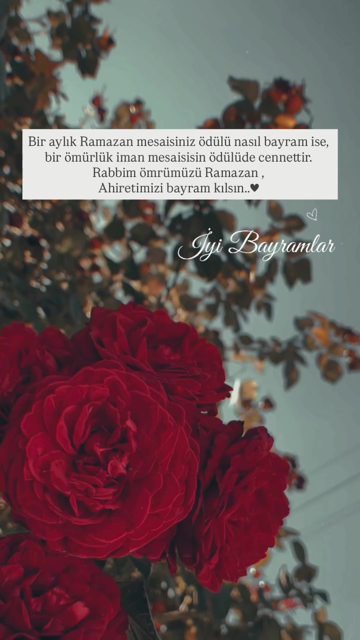 @fatma01