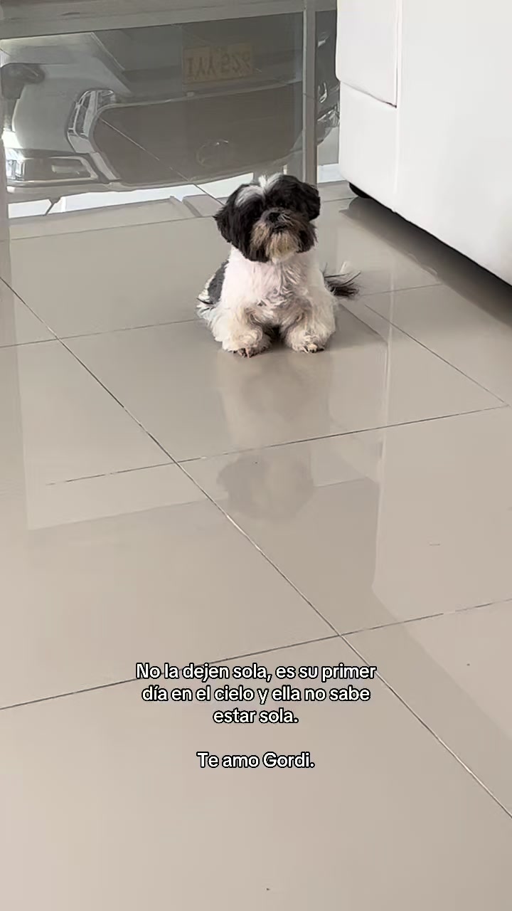 @Diana Valencia