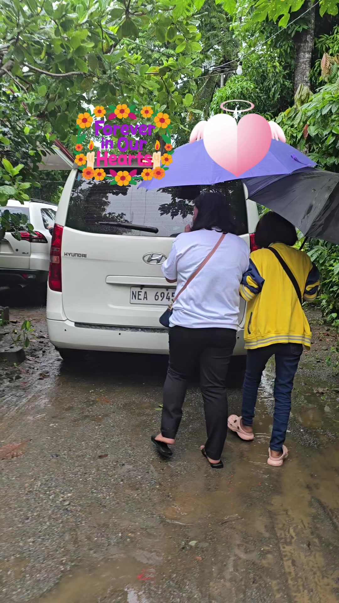 @Marilyn Amaran Tapec