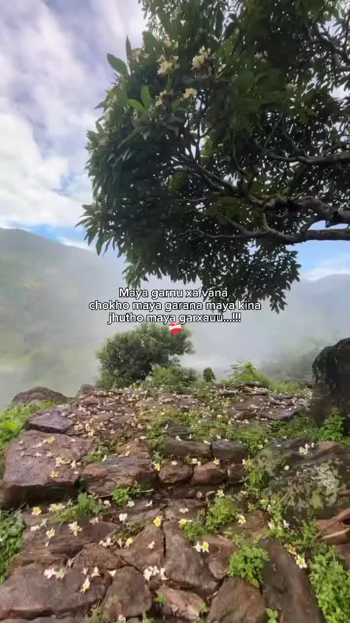 @अविशेक सोनी.....