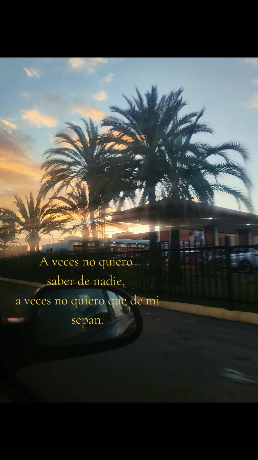 @Maria Noguera