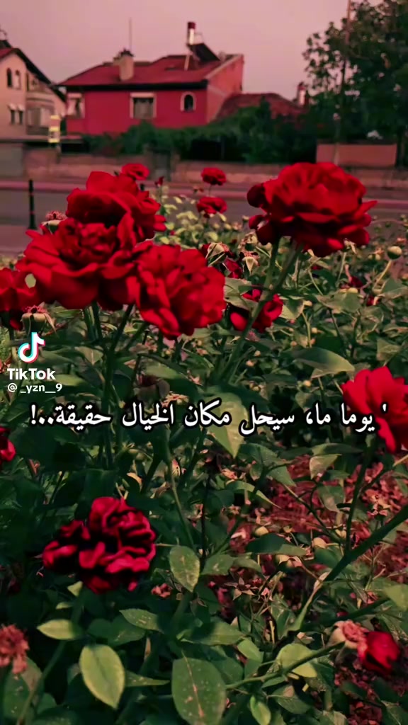 @Nur Şam ❤️❤️