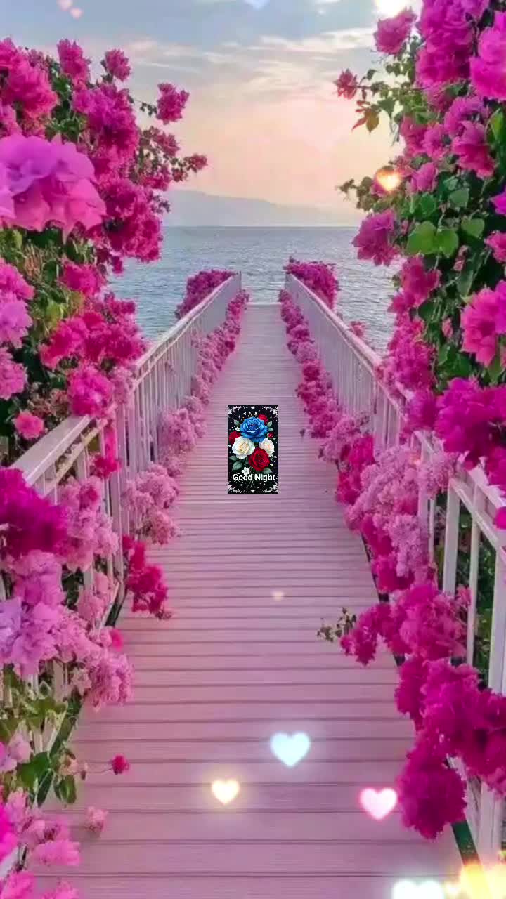 @Sai Meena