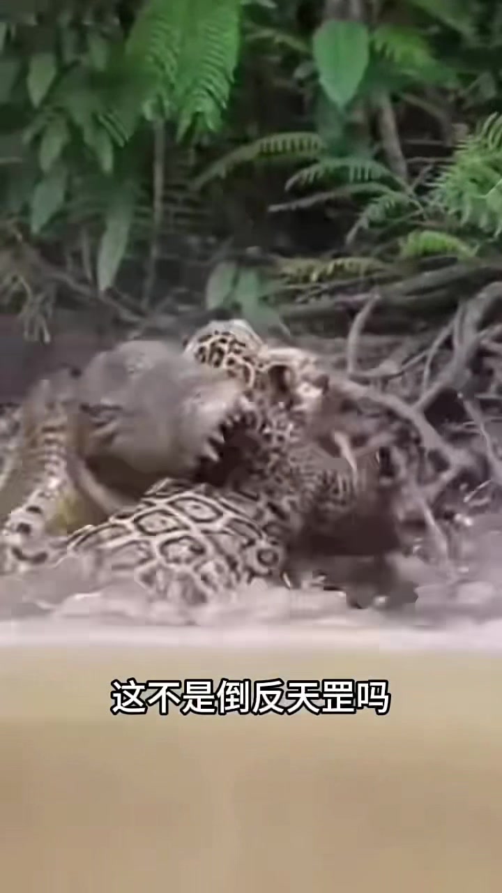 @liujiangyu