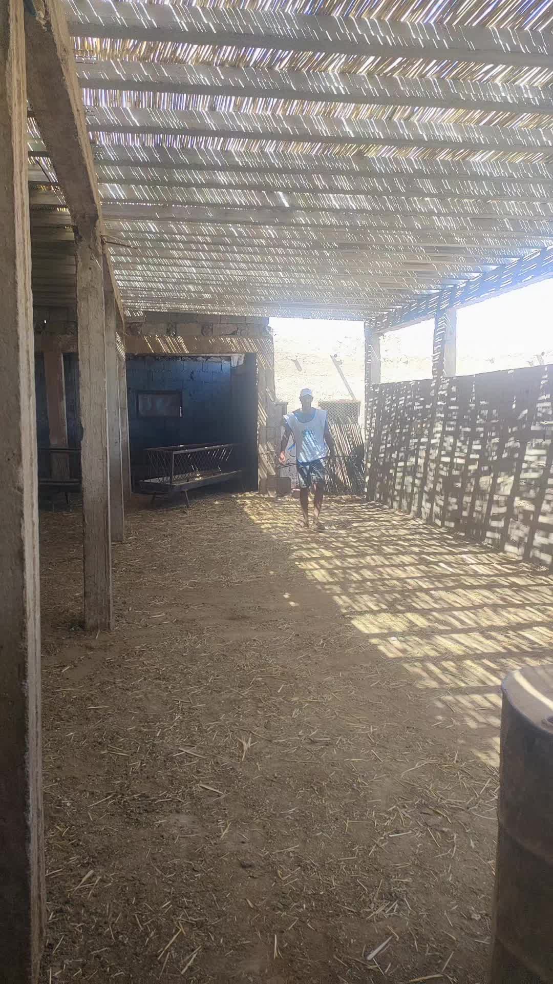 @chak chabani 🇮🇹⚓💰شكشباني