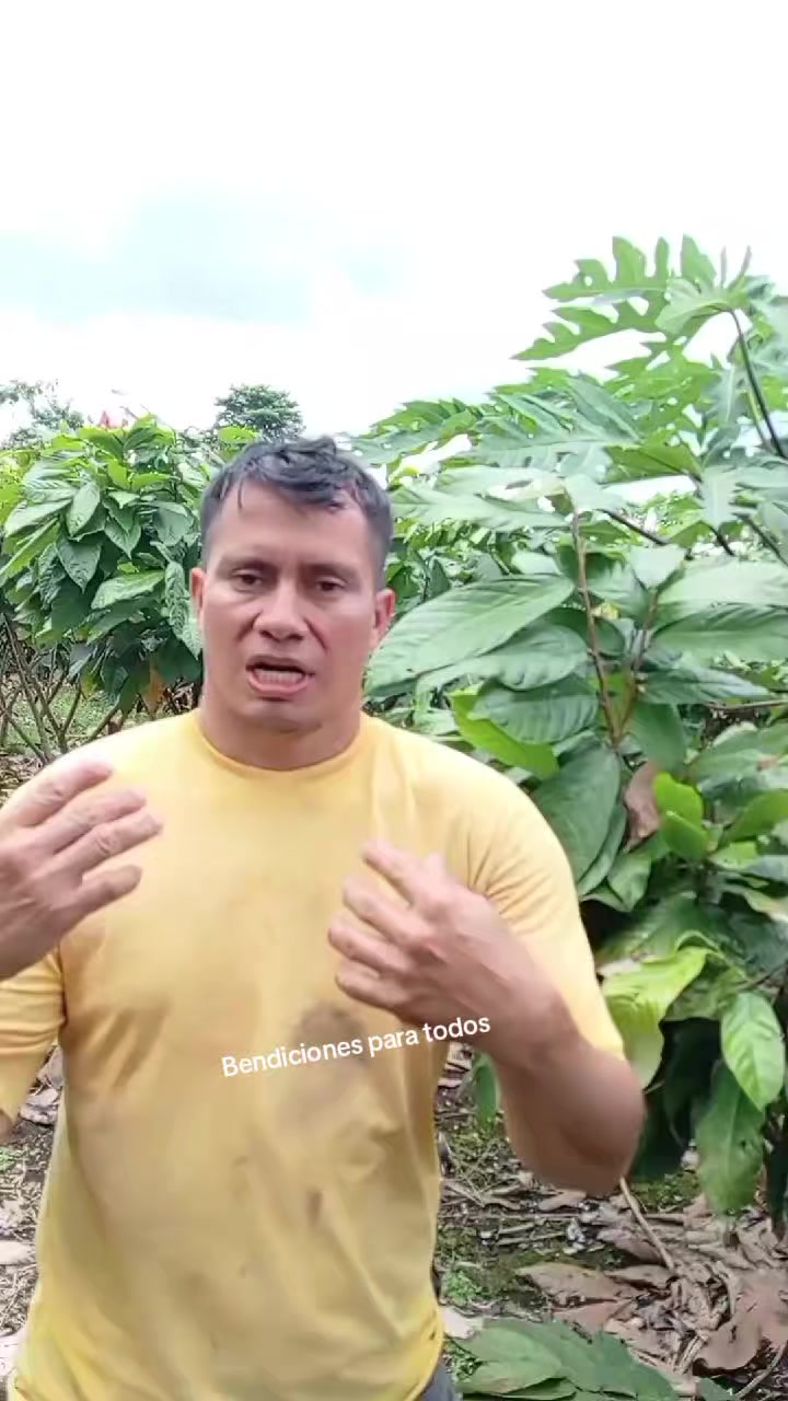 @Jairo desde el campo.